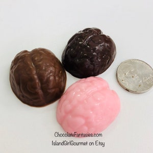 May include: Three chocolate brain-shaped candies, two brown and one pink, next to a US quarter for size comparison. Chocolate Fantasies.com IslandGirlGourmet on Etsy.
