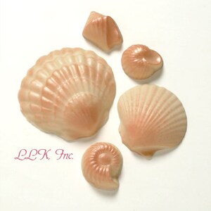 Pearlized Chocolate Seashells 1 lb, approx 43 pcs. Cake Decoration, Luster Finish, Approx Sizes 1 3, Asst. Flavors Bild 2