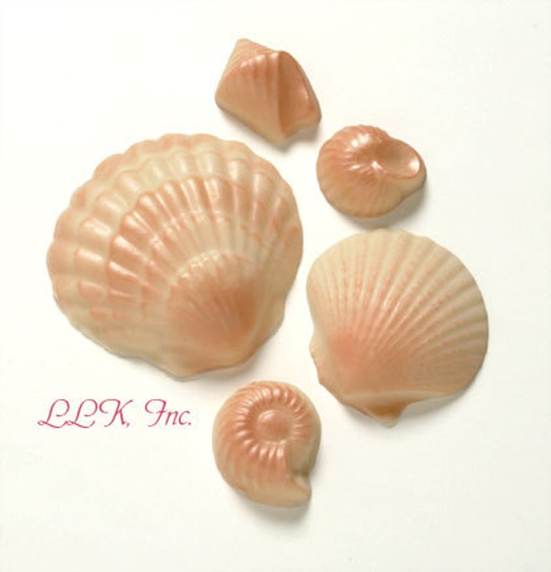 Pearlized Chocolate Seashells 1 lb, approx 43 pcs. Cake Decoration, Luster Finish, Approx Sizes 1 3, Asst. Flavors image 2