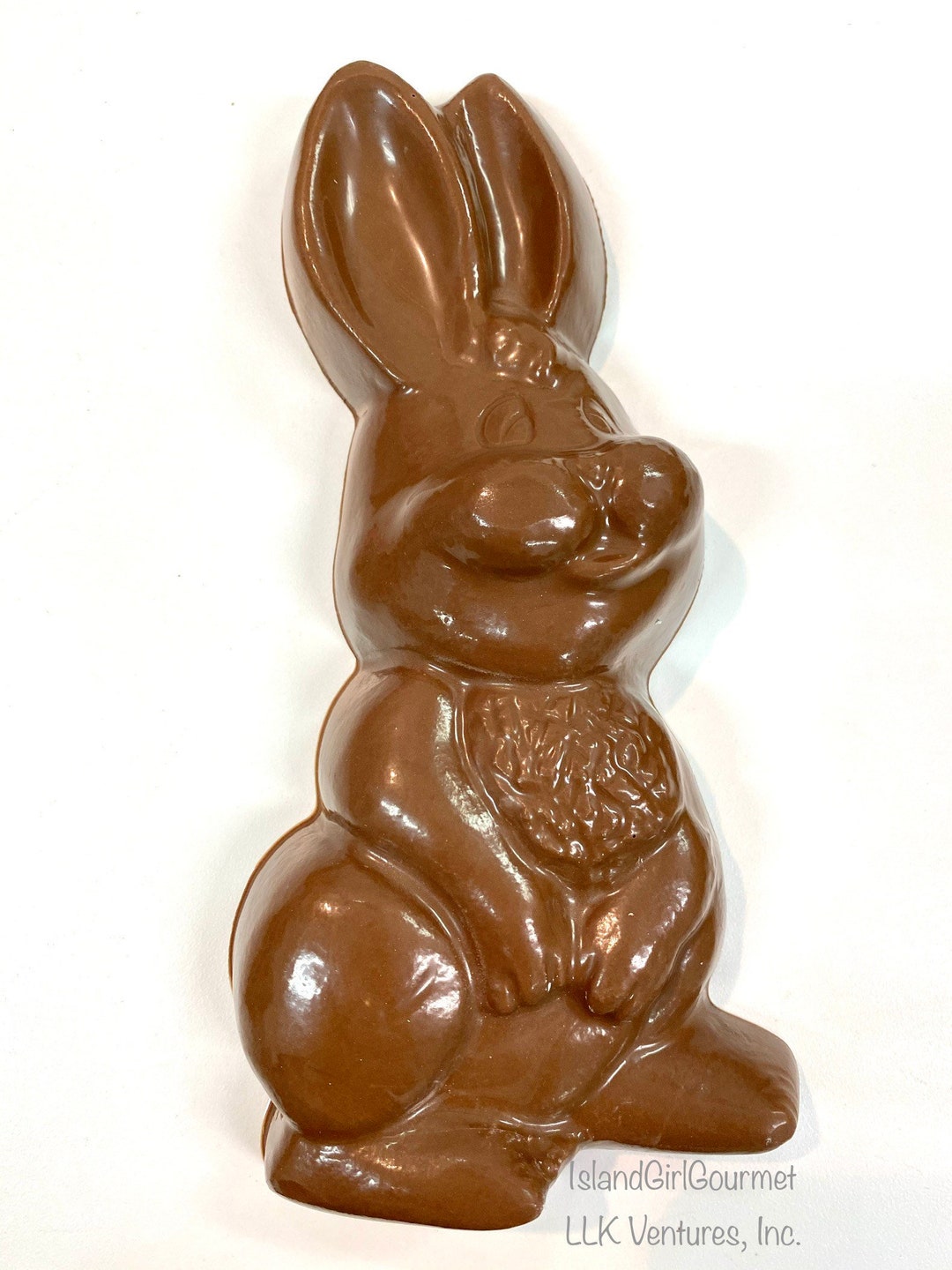Big Solid Chocolate Easter Bunny Rabbit, Bagged, Tied With Ribbon