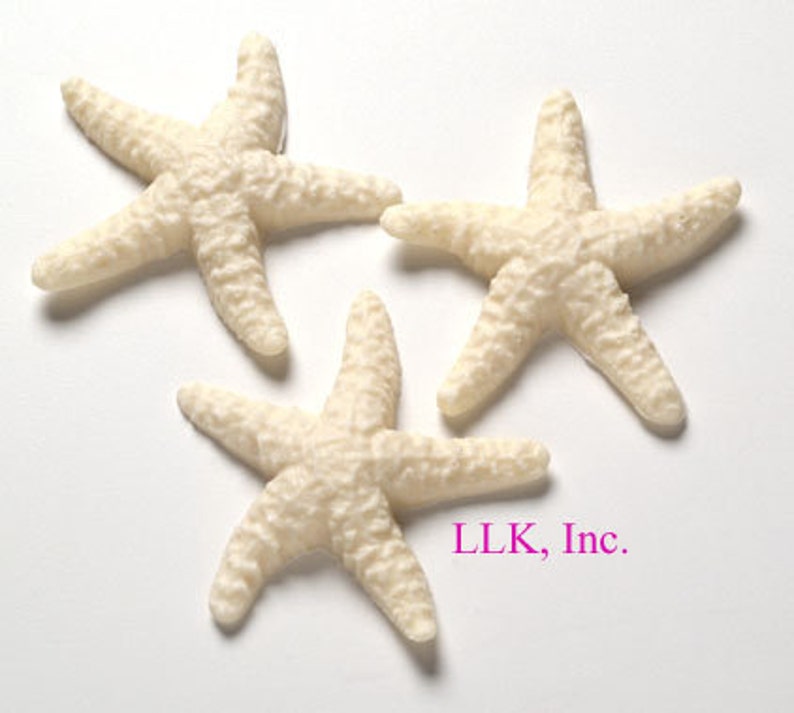 2 Large Chocolate Star Fish Chocolate Sea Stars Gift Bagged Etsy