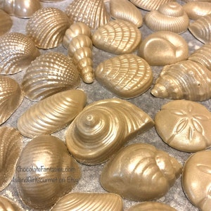 Pearlized Chocolate Seashells 1 lb, approx 43 pcs. Cake Decoration, Luster Finish, Approx Sizes 1 3, Asst. Flavors image 3