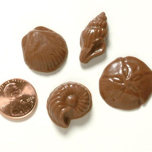 Tiny Chocolate Seashells, Assorted Styles, 1/4 Pound Bulk Boxed, Cupcake, Petit Fours, Cookie, Truffle & Cake Pop Decorations