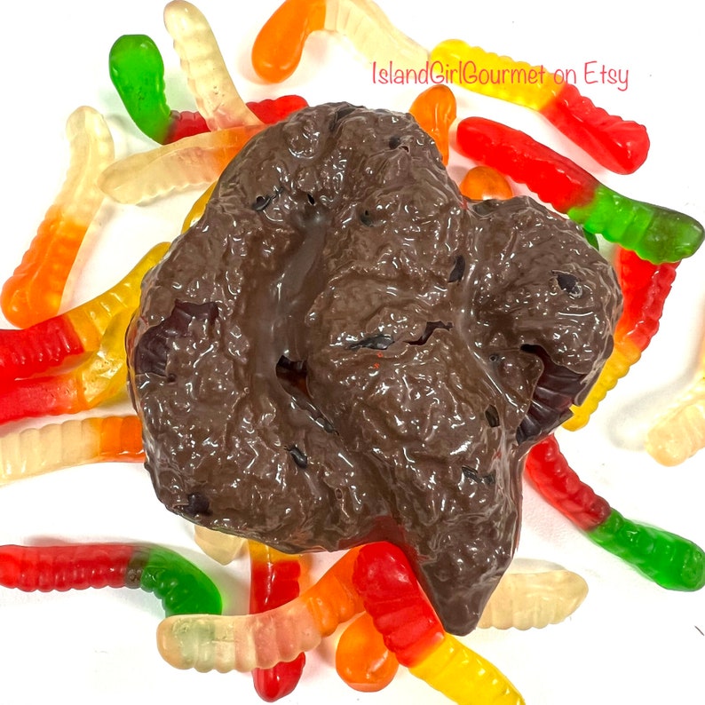 Chocolate Poop Crap Shit Chocolate Dog Turd Insulting Joke Etsy