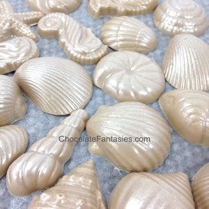 Chocolate Seashells Pearlized 1 lb., Approx. 45 pc. Standard Pack, 1" - 2" Any Flavor or Color, Perfect for Favors, Petis Fours, Cupcakes