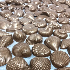 Pearlized Chocolate Seashells 1 lb, approx 43 pcs. Cake Decoration, Luster Finish, Approx Sizes 1 3, Asst. Flavors image 5