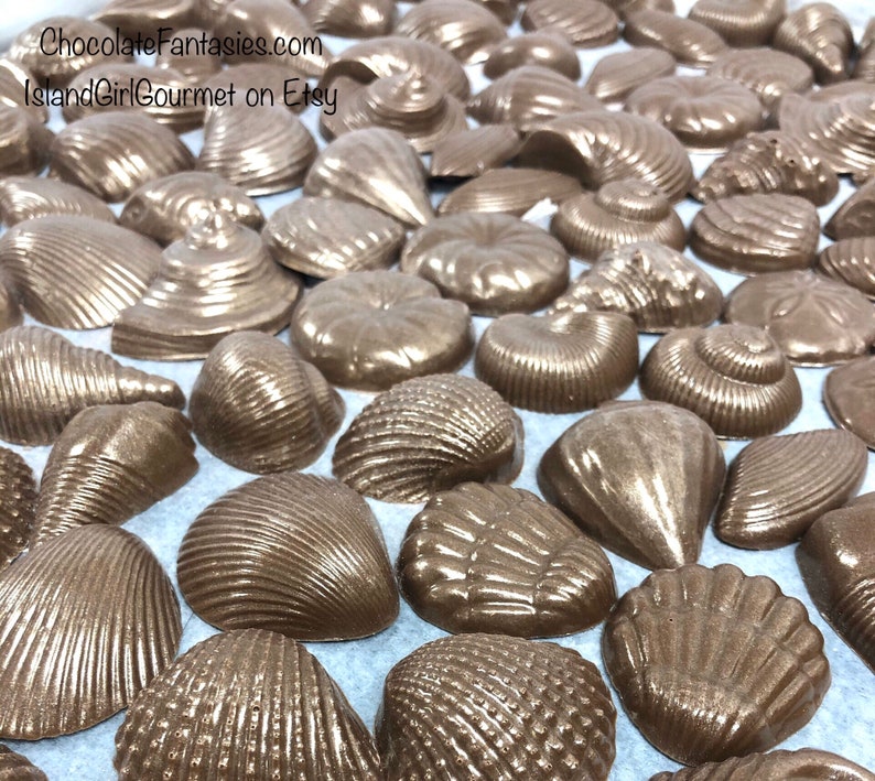 Pearlized Chocolate Seashells 1 lb, approx 43 pcs. Cake Decoration, Luster Finish, Approx Sizes 1 3, Asst. Flavors Bild 5