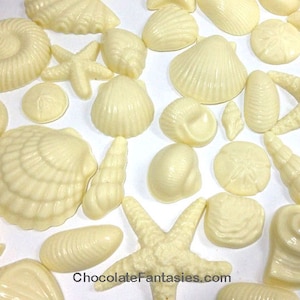 May include: A collection of white chocolate seashells and starfish. The chocolate is molded into various shapes, including clams, sand dollars, and starfish. The chocolate is arranged on a white surface. ChocolateFantasies.com is printed on the surface.