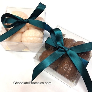 Bitty Brains 8 piece Favor Box, Neurology Chocolates, Psychology, Psychiatry, Halloween, Zombie, Brainiac