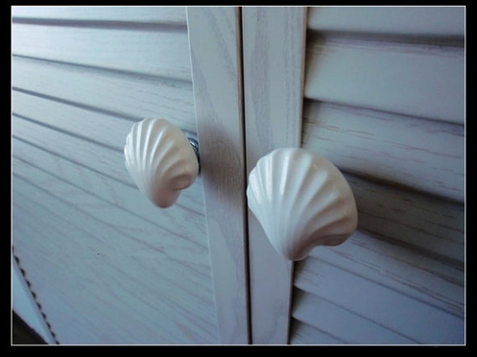 Large Drawer Knobs Shell Dresser Knob White Blue Yellow Pink Etsy