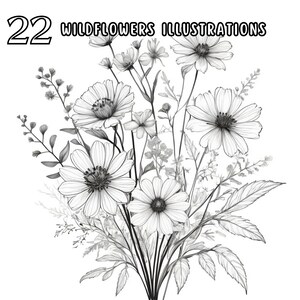 Desenhos de flores silvestres Clipart | Arte de linha botânica em preto e branco | Ilustrações florais minimalistas | Conjunto de PNG de flores inspiradas na natureza