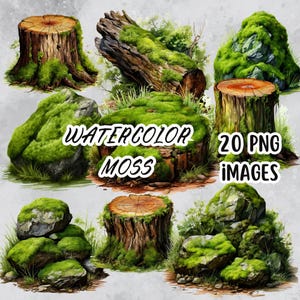 Aquarell Moos Clip Art Set, Moosige Felsen, Baumstümpfe und Holzstämme Illustrationen, Botanische PNG Bilder, Natur Inspirierte Grafiken für kommerzielle Nutzung