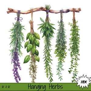 Raccolta di clipart di erbe aromatiche appese ad acquerello / Arte da cucina in formato JPG / Decorazioni botaniche rustiche per progetti di artigianato, scrapbooking, journaling e design