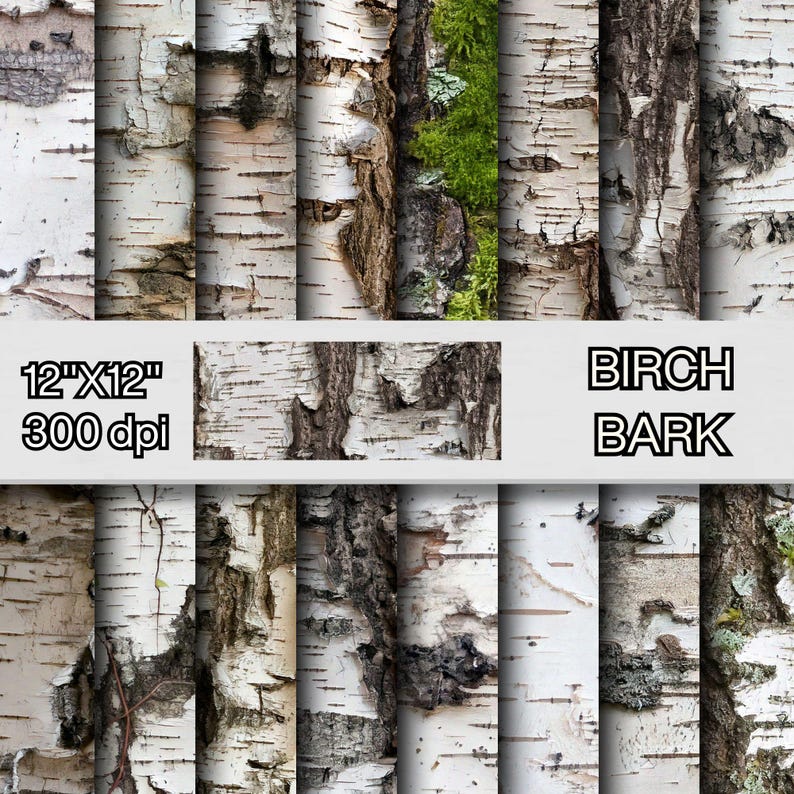 Birch Bark Seamless Pattern Digital Paper Pack, Realistic Birch Tree