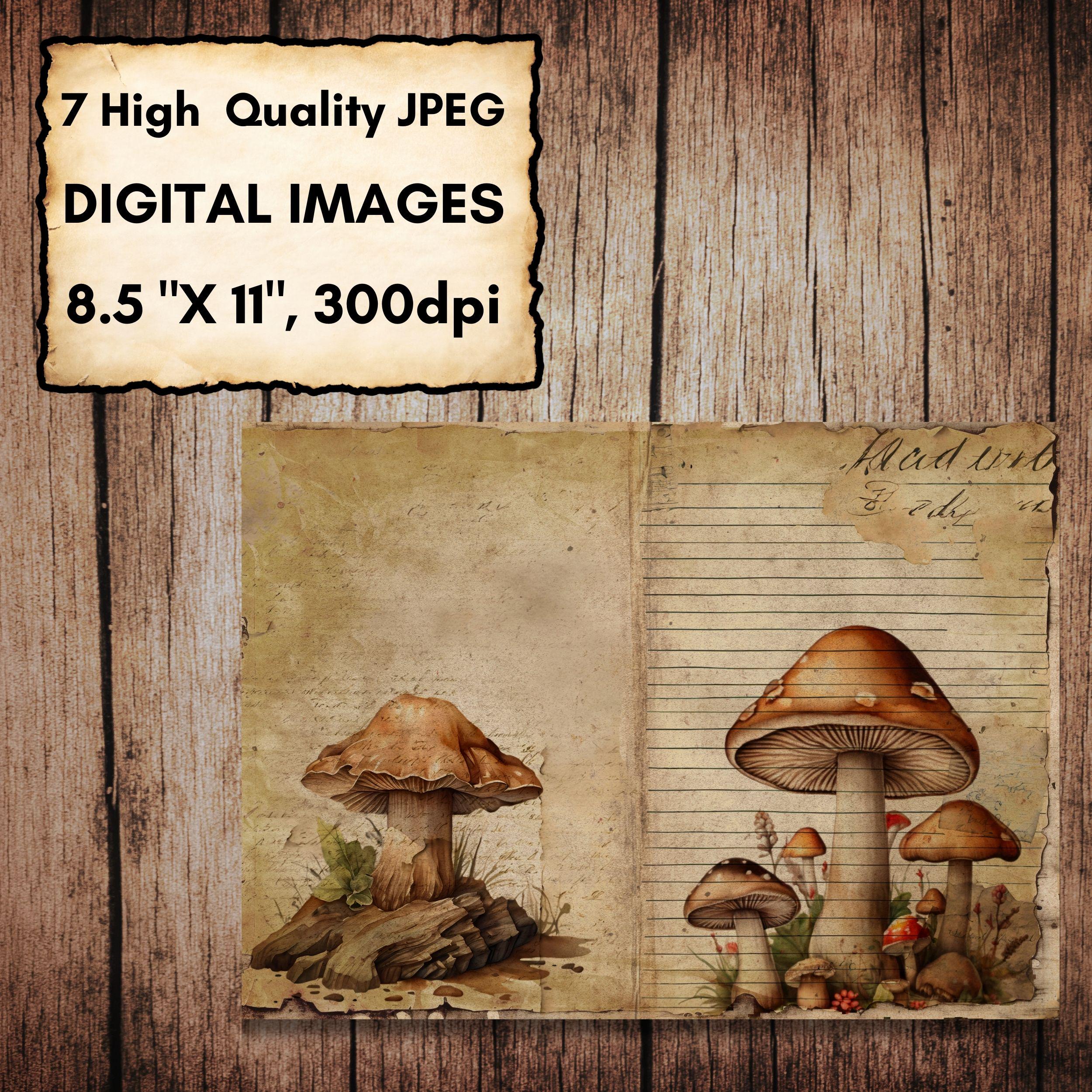 Vintage Mushroom Junk Journal Kit | Botanical Fungi Printable Papers ...