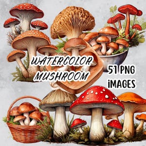 Ensemble de clipart aquarelle champignons, illustrations de champignons, Images PNG botaniques, lot de Clip Art Woodlands, graphiques inspirés de la Nature