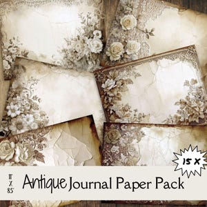 Vintage ongewenste dagboekpapieren, rustieke bloemen ongewenste dagboekpapieren, botanisch shabby chic papierpakket, noodlijdende plakboekpapieren, benodigdheden voor tijdschriften, benodigdheden voor tijdschriften