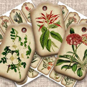 Vintage Wildflower Junk Journal Tags, Botanical Tags, Printable Digital Paper Prints, Vintage Flower Ephemera -  Instant Download as JPG,PDF
