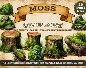 Bundel met mosclipart, bosmos PNG, bemoste rotsen en boomstronken, bosclipart, natuurelementen, cottagecore PNG, transparante PNG