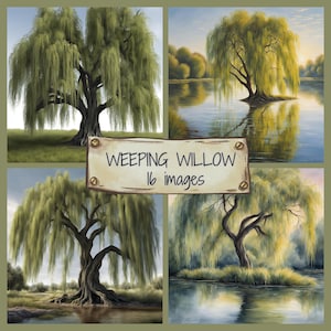 May include: A collage of four paintings depicting weeping willow trees. The trees are painted in a realistic style with green foliage and brown branches. The trees are shown in different settings, including a lake, a field, and a forest. The title "Weeping Willow 16 images" is written on a brown sign with metal screws.