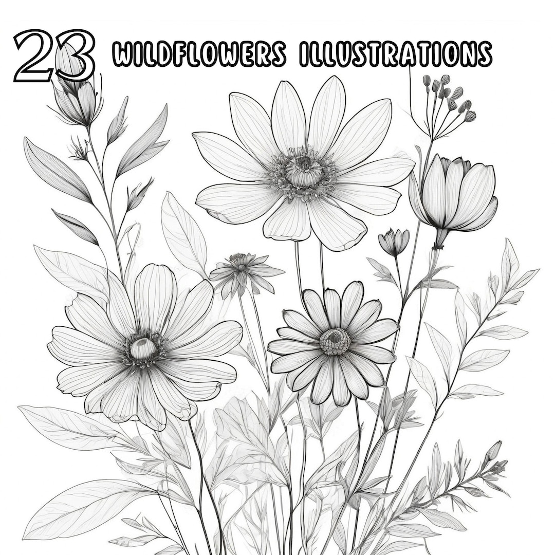 Wildflower Drawings Clipart Bundle | Black and White Botanical Floral ...