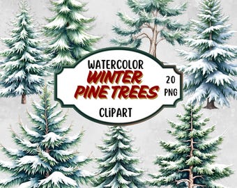 May include: Watercolor winter pine tree clipart. The image features several watercolor illustrations of evergreen trees, some dusted with snow. The text on the image reads "Watercolor Winter Pine Trees Clipart".