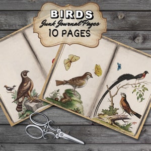Vintage Vögel Junk Journal Seiten Kit - Vögel Retro Scrapbook Seiten, druckbare Journaling Karten, Vintage Vögel druckbare Illustrationen
