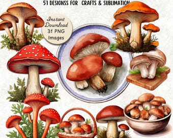 Watercolor Mushroom Clip Art Set, Mushrooms Illustrations, Botanical PNG Images, Woodlands Clip Art Bundle, Nature Inspired Graphics