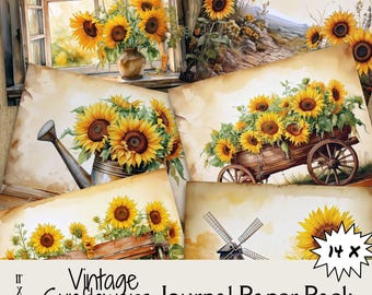 Könnte beinhalten: Eine Sammlung von Journalpapier im Vintage-Stil mit Aquarellillustrationen von Sonnenblumen. Die Bilder zeigen Sonnenblumen in einer Vase, einer Gießkanne und einem Holzkarren. Das Papierpaket ist 27,9 x 21,6 cm groß und enthält 14 Blätter.