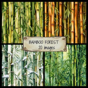 Ensemble JPG aquarelle forêt de bambous, clipart Nature, arrière-plans forêt de bambous, motif bambou inspiré de la nature, graphiques forêt de bambous