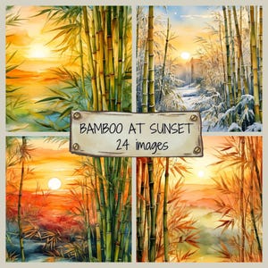 Bambuswald Sonnenuntergang JPG Clip Art Set, Natur Clipart, Bambuswald Hintergründe, Natur inspiriert Bambusmuster, Sonnenuntergang Bambuswald Grafiken