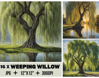 May include: A digital art collection featuring weeping willow trees in various lighting conditions, including a large central tree by a pond. The text reads 16 X WEEPING WILLOW JPG 12"X12" 300DPI. The images display green foliage and dark trunks.
