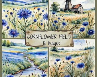Watercolor Cornflower Meadow Clip Art JPG, Cornflower Field Landscape, Wild Cornflower Illustrations , Flower Meadow Background, Journaling