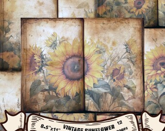 May include: Vintage sunflower junk journal pages with 12 pages, measuring 8.5" x 11". The pages are decorated with a vintage sunflower design.
