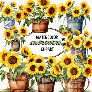 Solros clipart-paket, utskrivbara akvarell solrosor i kruka-illustrationer, högkvalitativa krukväxtsolrosor PNG-bilder, blommig grafikuppsättning