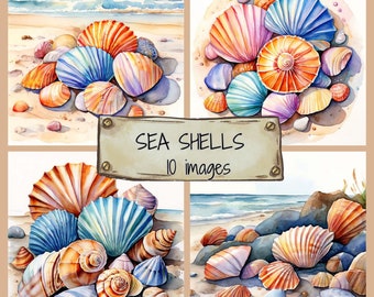 Aquarell Muscheln Clip Art JPG Bilder, Muscheln am Strand Hintergründe, Strand Scrapbooking Papiere, Sommer Urlaub Hintergründe,