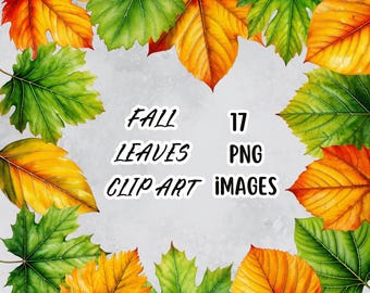 Herfstblad aquarel clip art bundel, herfstbladeren clipart set, afdrukbare herfstblad illustraties, botanische png-afbeeldingen, bosrijke illustraties
