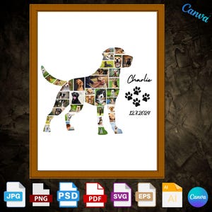 Op de afbeelding: Een witte achtergrond met een silhouet van een hond gemaakt van veel kleinere foto's van honden. De naam van de hond is Charlie en de datum 12.7.2024 staat onder het silhouet.
