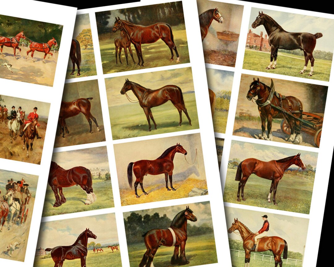 Vintage Horses ATC Cards Collage Sheets, Retro Horses Printable ...