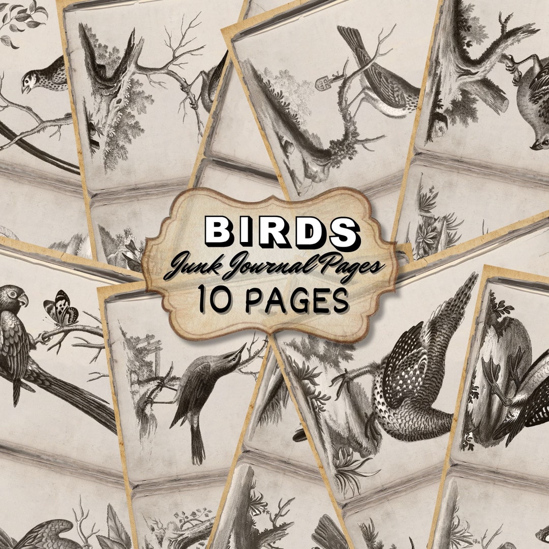 Vintage Birds Junk Journal Pages Kit - Birds Retro Scrapbook Pages ...