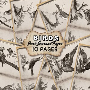 vintage Birds Junk Journal Pages Kit - Birds Retro Scrapbook Pages, Cartes de journalisation imprimables, illustrations imprimables d’oiseaux vintage