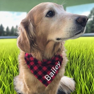 Personalized dog bandana. Custom dog bandana. Personalized dog scarf. Personalized dog clothes.