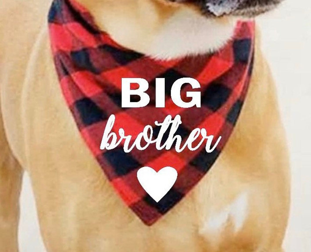 Big Brother Dog Bandana. Big Sister Dog Bandana. Custom Dog Etsy