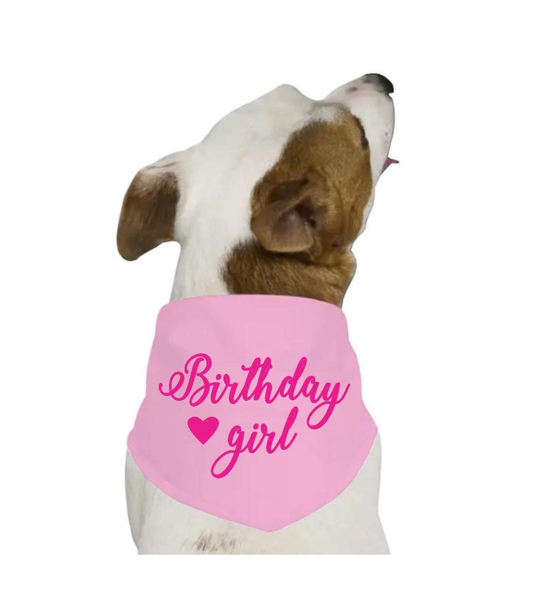 Birthday girl dog bandana. Custom dog bandana. Personalized Etsy