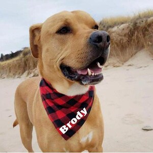 Dog bandana. Custom dog bandana. Personalized dog scarf. Personalized dog clothes.