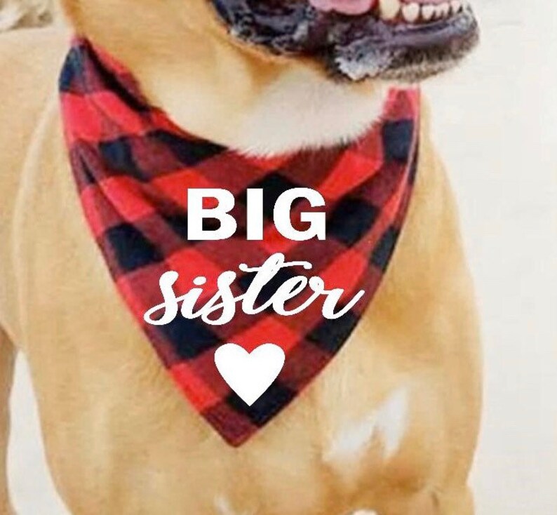 Preboun 20 Pcs Big Brother Dog Triangle Dog Bandana Assorted Colors Big