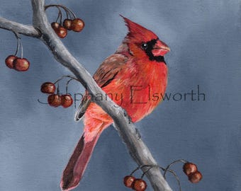 Northern Cardinal Giclee Fine Art Print