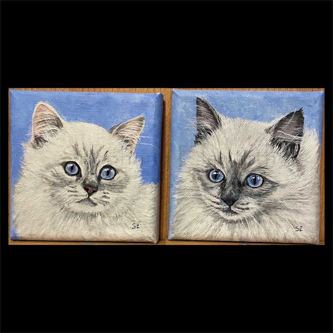 4 X 4 Inch Ragdoll Kitten Pair Original Acrylic Paintings on Stretched ...