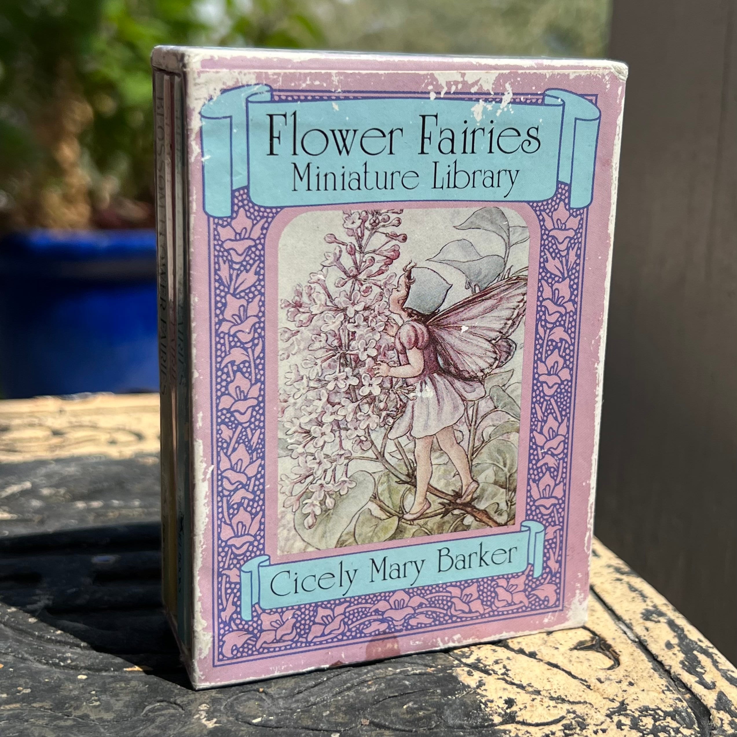 豆本★Flower Fairies Miniature Library★限定値下 豆本☆Flower Fairies Miniature Library☆限定値下 - メルカリ
