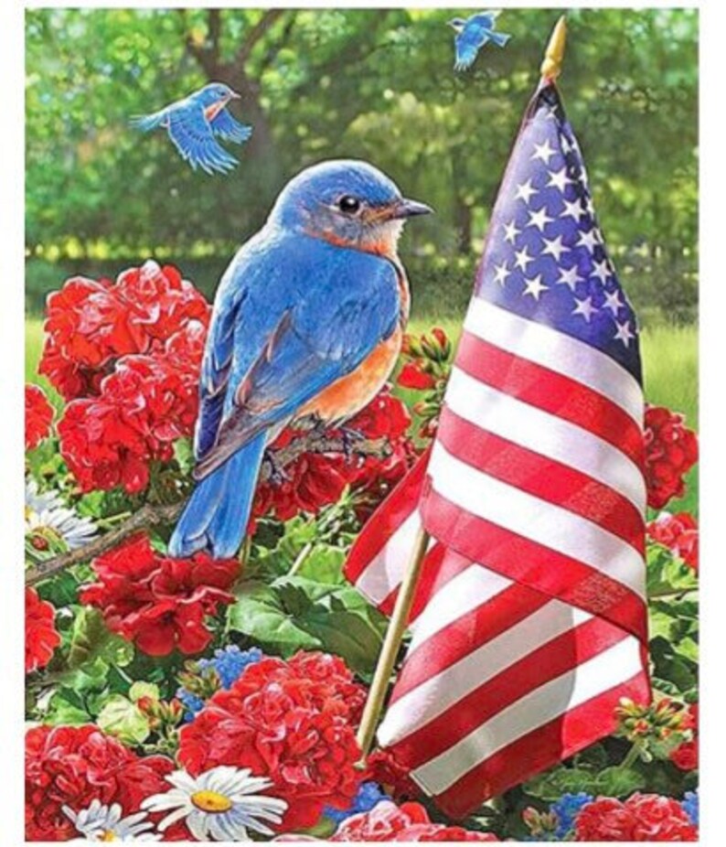 Bluebird Free Shipping Daisies 35x45cm American Flag Round Drill Fast Shipping Geraniums Full Drill Us Seller Diamond Painting Kit Sewing Fiber Craft Supplies Tools Issho Ueno Com